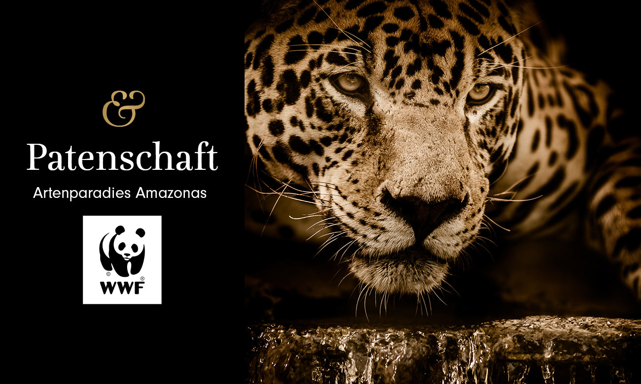 Wir sind WWF-Paten für das "Artenparadies Amazonas"